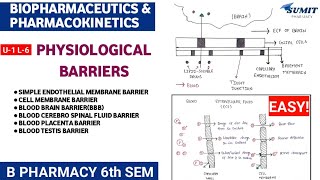 Physiological Barriers in Drug Distribution BBB CSF Barrier Placenta barrier  BIOPHARMACEUTICS [upl. by Patricio]