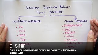 9 Sınıf  CANLILARIN YAPISINDA BULUNAN BİLEŞENLER  İnorganik Bileşikler 1  TYT 3 [upl. by Lorette]