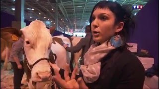 Le concours quotrace Montbéliardequot du Salon de lAgriculture 2016 [upl. by Loziram453]