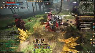 Black Desert Por que as pessoas quitam do bdo [upl. by Anrahc]