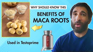 Maca Root and Its Benefits — Men Watch This Video [upl. by Ielhsa]