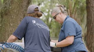 Kiawah Oyster Restoration at Mingo Point [upl. by Odnam402]