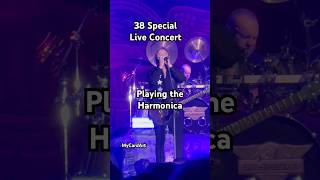 38 Special Playing the Harmonica liveconcert rockband bluesrock [upl. by Wirth]