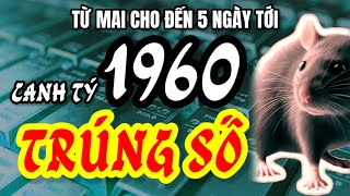 Thần Linh Độ Mệnh Canh Tý 1960 Đón Vận May Liên Tục Từ Mai Đến 5 Ngày Tới [upl. by Nosneh]