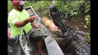 SUPER AWESOME AIRBOAT RIDE THROUGH THE SWAMPS OF LOUISIANA [upl. by Kalina]