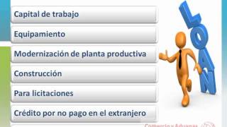 Tipos de Financiamiento Para La Exportación [upl. by Mignonne]