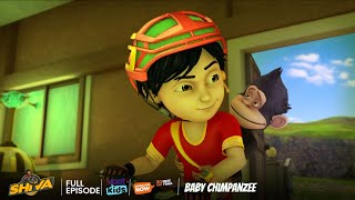 Shiva  शिवा  Baby Chimpanzee  Episode 26  Download Voot Kids App [upl. by Urbas]