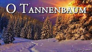 O Tannenbaum 🎄 German Christmas SongLyrics [upl. by Gladdy]