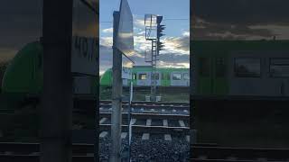 Train German 🤠 remix germany train davidguetta [upl. by Yeniar]