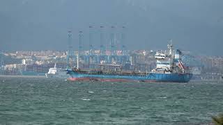 AFRICA MOROCCO LINK Ferries Entering and Exiting Algeciras Port 28 Nov 2023 [upl. by Aynodal]