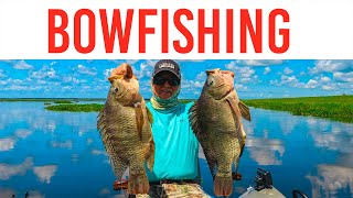 Bowfishing Tips  Shooting Giant Invasive Tilapias [upl. by Aehs]