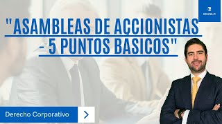 Asambleas de Accionistas  5 Puntos Básicos [upl. by Bainbrudge]