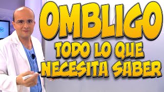 OMBLIGO ¿QUÉ es CÓMO se FORMA para qué SIRVE [upl. by Marline794]