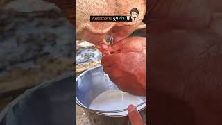 Milk Method of Machine dessert desiboy haryana viralvideo dairy dairyfarm video [upl. by Bloxberg]