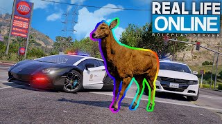 ECHTE ADMINS ALS TIERE  GTA 5 Real Life Online [upl. by Pouncey]