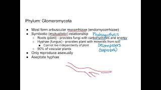 Fungi  Glomeromycota and Chytridiomycota [upl. by Bronez]