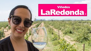 Conoce este lugar en Querétaro  Viñedos La Redonda  Mariana Quevedo Vlogs [upl. by Joung850]