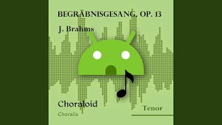 Begräbnisgesang op 13 Tenor Voice with metronome [upl. by Aivyls]