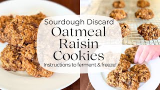 Easy Sourdough Oatmeal Raisin Cookies using Discard aka Leftover Starter how to freeze cookies [upl. by Orna393]