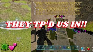 They TP’d Us Into Their MESH BASE IM THE BIGGEST BIRD  Ark Survival Evolved Official PvP  BDT [upl. by Weiner]