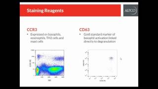 InhibiScreen Kinase Inhibitor Assay Technical Video [upl. by Aitnauq]