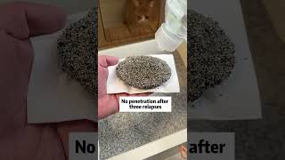 Mineral cat litter test Bentonite cat litter China supplier Bentonite cat litter price catlitter [upl. by Chadd]