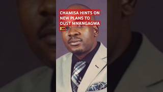 CHAMISA hints on new plans and new party zimbabwe chamisa latestmnangagwa chamisa [upl. by Vida]