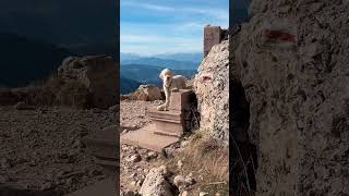 DexTours im Rosengarten Auf 4 Pfoten Entdeckungsreise in den Dolomiten rosengarten eggental [upl. by Nylasoj]