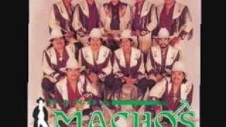 Lo Mas Bailable De Banda Machos [upl. by Ancalin293]