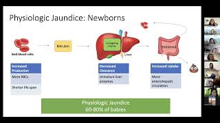 Webinar Neonatal Jaundice and Hyperbilirubinemia [upl. by Klarika470]