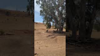 JoyRide Cup  Shepparton 2024 mtb mountainbikejumps downhill mtbjump mtbjumps jump [upl. by Aicekan]