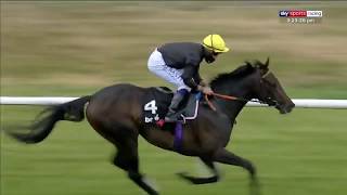 English King  2020 Lingfield Derby Trial [upl. by Aicirtan217]