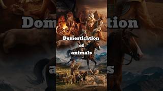 Domestication of Animals fact facts history inventions viralvideo pets pet [upl. by Rehm620]