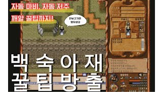 바람의나라 클래식 꿀팁  매크로 사용법 [upl. by Erdua]