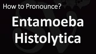 How to Pronounce Entamoeba Histolytica CORRECTLY [upl. by Rehtul]