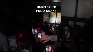 Snippet of new PND x Drake How y’all feel about this one 🤔💭 [upl. by Wayolle112]