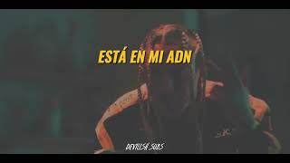 chase atlantic  chxse  sub español [upl. by Pitzer83]