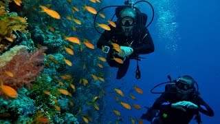 Scuba Diving Sharm El Sheikh 2015 [upl. by Solnit]