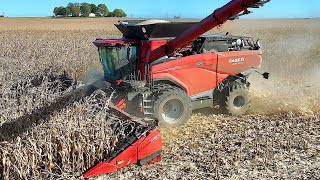 Is This Better Than The X9 CASE IH AF9 Harvesting Corn [upl. by Aisila]