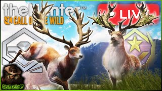 Have We Perfected Herd Management Diamond Red Deer Every 10 kills Call of the wild LIVE 🔴🔴 [upl. by Peggy158]