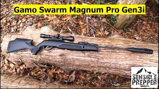 Gamo Swarm Magnum Pro Gen3i 10X Air Rifle Review  Excellent SHTF Choice [upl. by Winstonn]