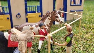 Wildpferd Toronto in Gefahr 😱🐴🐎Teil 2 • Schleich Kurzfilm [upl. by Atonsah]