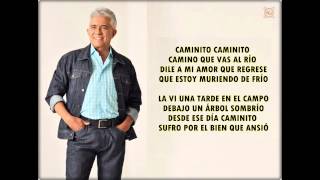 Reynaldo Armas  Lucerito con letra [upl. by Connelley]