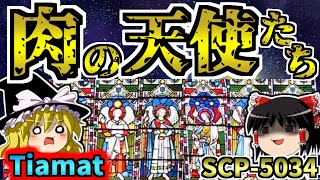 【誤伝達部門シリーズ】財団の敗北超難解SCPを解説！【SCP5034肉の天使たちTiamat】 [upl. by Enelec182]