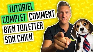 Toilettage chien  les conseils et solutions dun toiletteur [upl. by Eniawd]