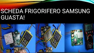 scheda frigorifero samsung guasta quotriparazione e simulazionequot [upl. by Giacamo742]