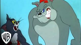 Tom and Jerry In the Dog House  quotCat Nappingquot  Hammock  Warner Bros Entertainment [upl. by Vey]