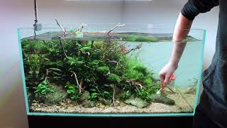 Aquascape Maintenance in Aquarium Gardens Showroom [upl. by Diad]