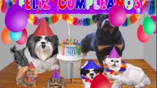 ♫♫♥ Dedicatoria de cumpleaños Video chistoso video gracioso ♥♫ [upl. by Gabler]