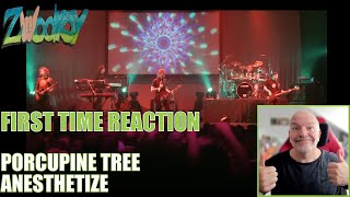 Porcupine Tree  Anesthetize  Reaction  This was magical [upl. by Rehptosirhc]